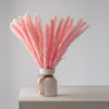 Pink pampas grass