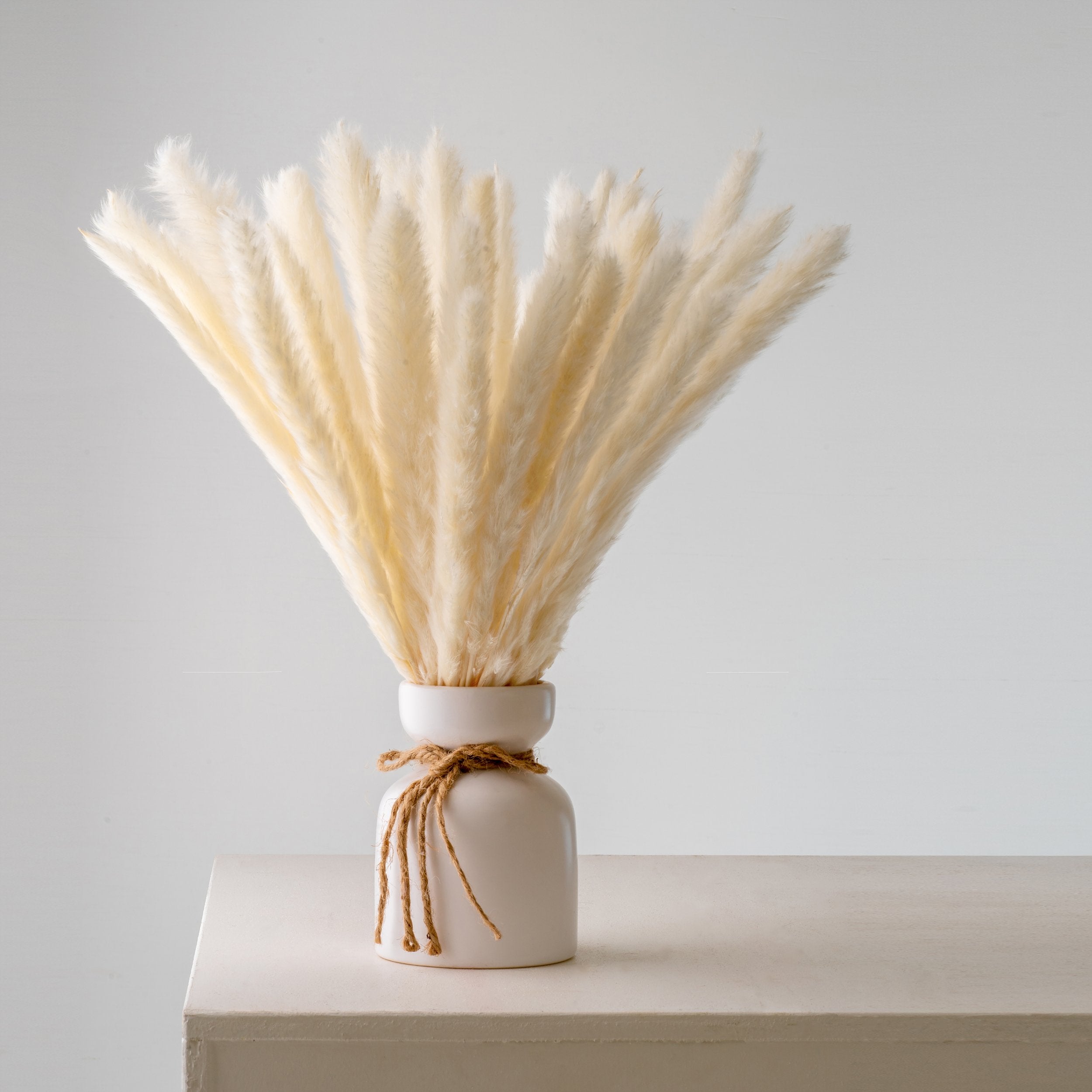 cream white dried pampas grass