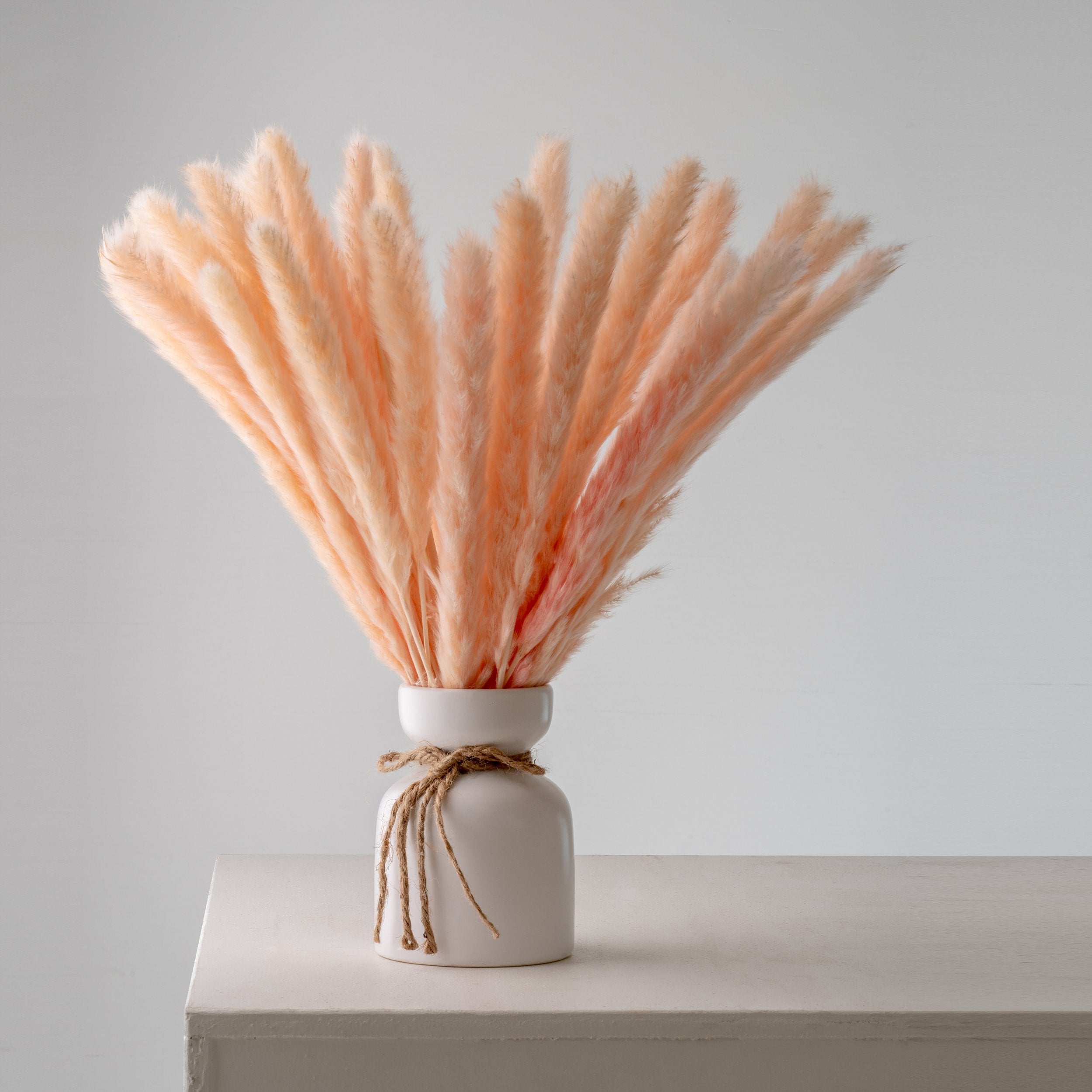 peach pink pampas grass